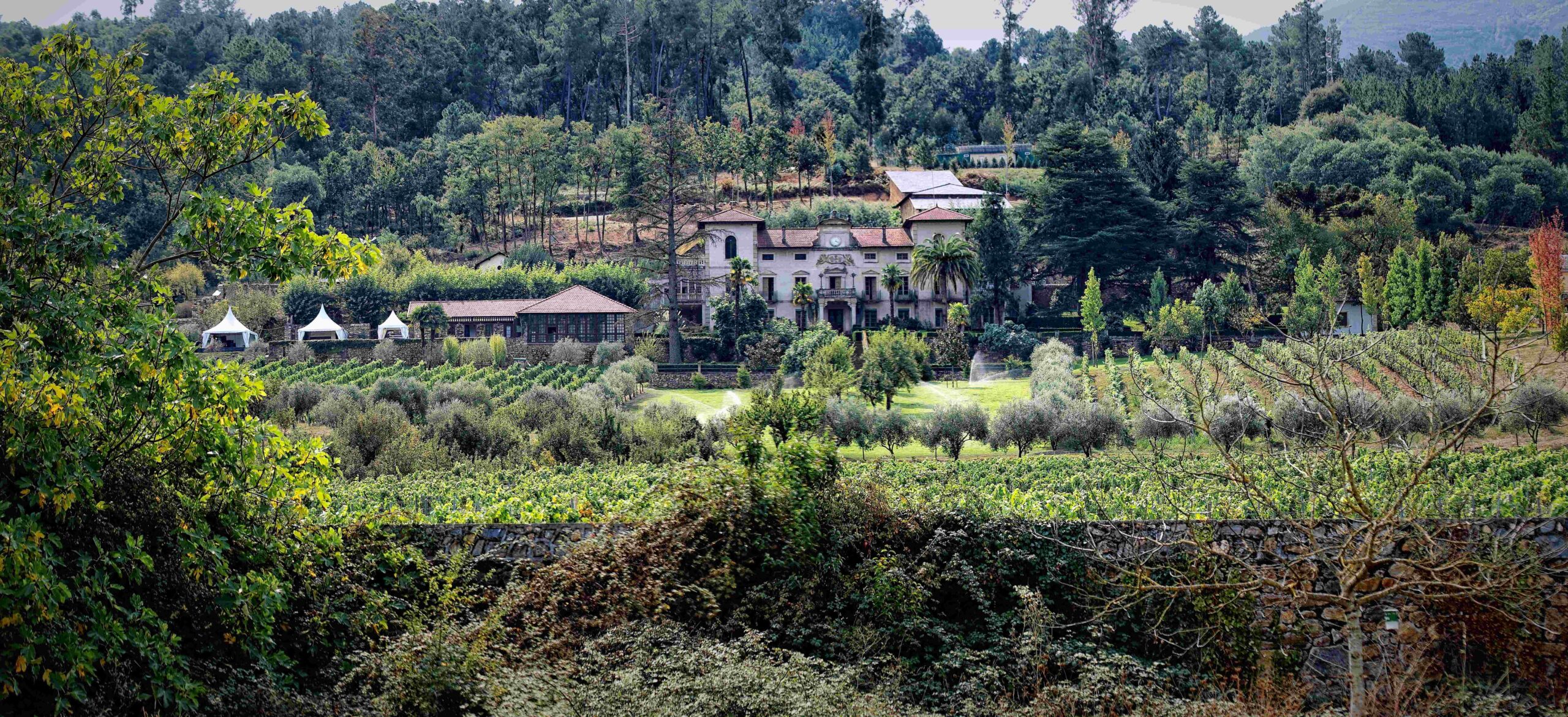 Pazo de La Cuesta: pago histórico