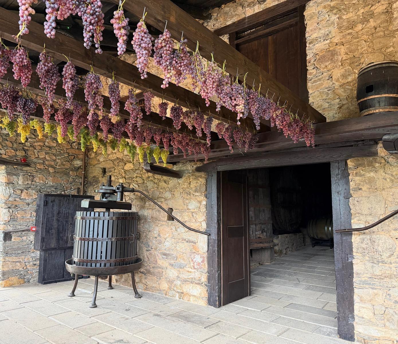 Vino tostado en Pazo de La Cuesta